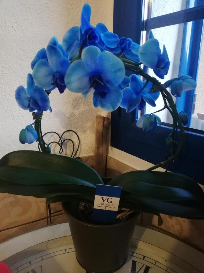 Parfumu Di Celu Hotel Santa-Lucia-di-Mercurio ภายนอก รูปภาพ