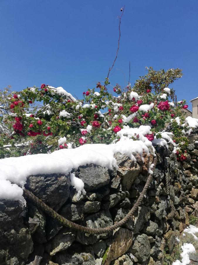 Parfumu Di Celu Hotel Santa-Lucia-di-Mercurio ภายนอก รูปภาพ