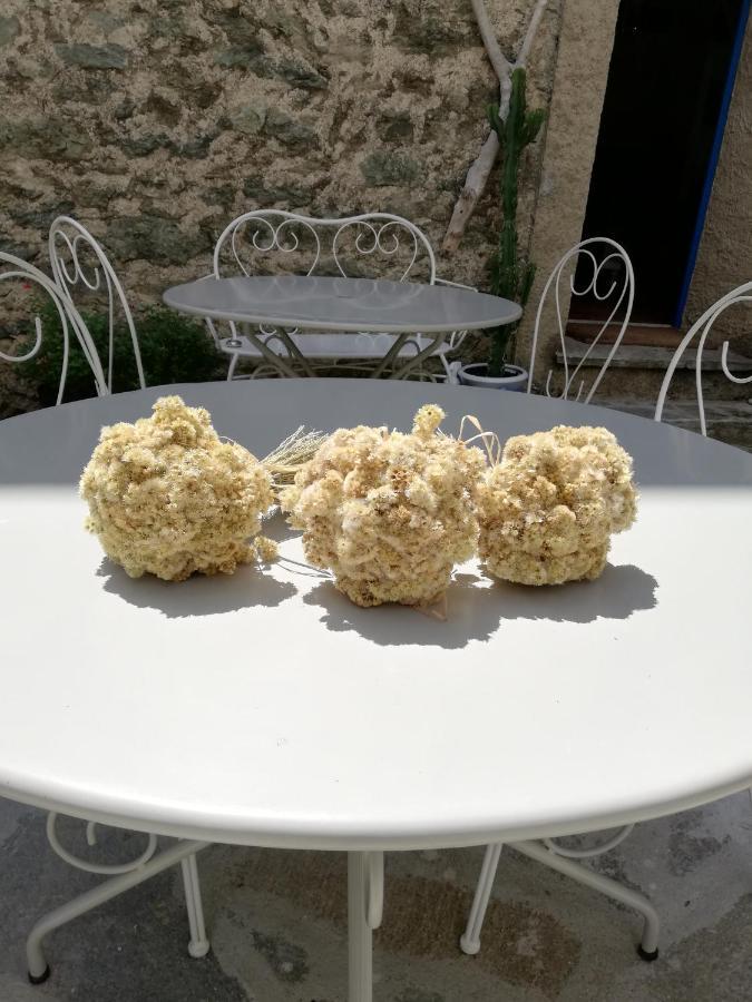 Parfumu Di Celu Hotel Santa-Lucia-di-Mercurio ภายนอก รูปภาพ